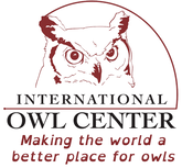 Visit Bluff Country - International Owl Center