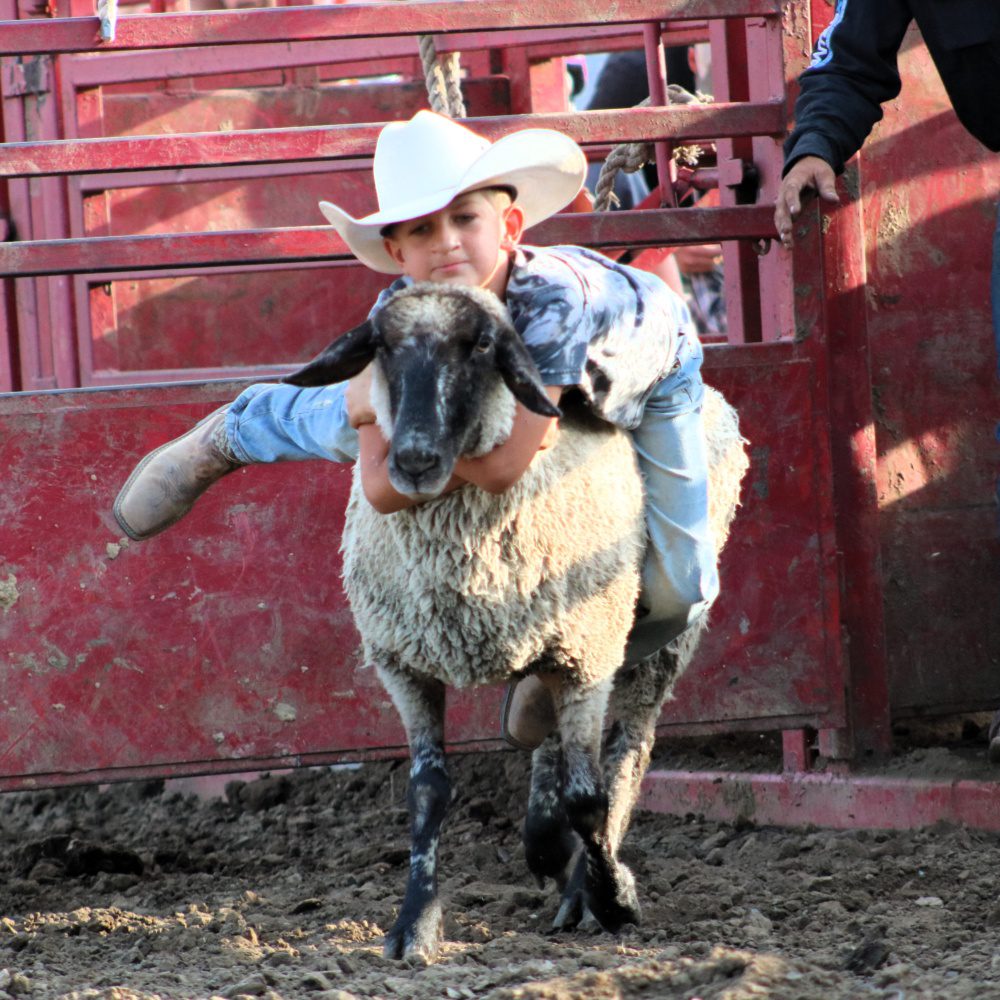 Fillmore County Fair Celebrates 167 Years of Family Fun and Farming Traditions