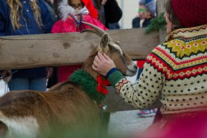 Kick off the holiday season with a Norwegian Christmas celebration at Vesterheim