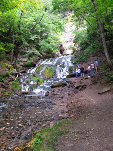 The Cascading Wonders of Historic Bluff Country