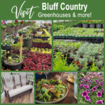 Amish Greenhouses in Minnesota, Iowa and Wisconsin.