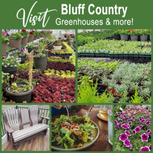 Amish Greenhouses in Minnesota, Iowa and Wisconsin.
