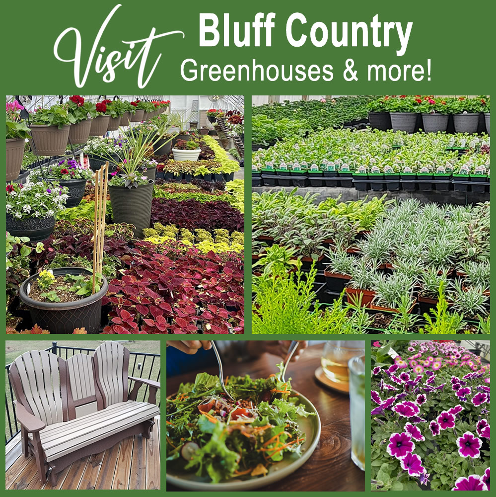 Visit Bluff Countries greenhouses, stores and dining this spring!