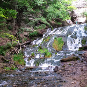 The Cascading Wonders of Historic Bluff Country