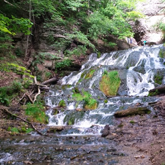 The Cascading Wonders of Historic Bluff Country