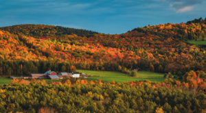 Colors and Clues of Fall